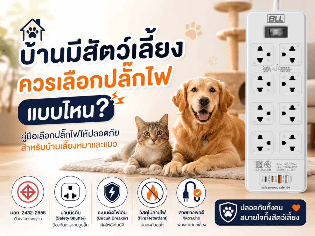 ปลั๊กไฟบ้านมีสัตว์เลี้ยง เลือกยังไงให้ปลอดภัย? ปลั๊กไฟบ้านมีสัตว์เลี้ยง