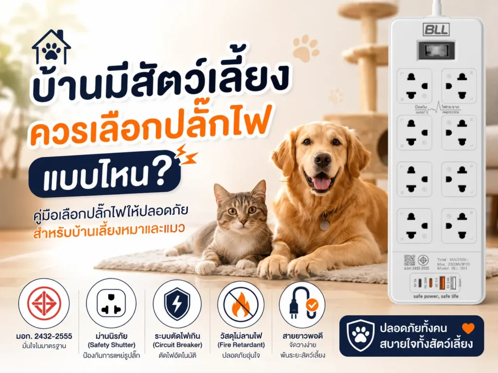 ปลั๊กไฟบ้านมีสัตว์เลี้ยง