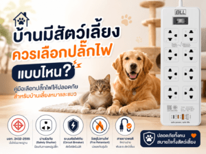 ปลั๊กไฟบ้านมีสัตว์เลี้ยง