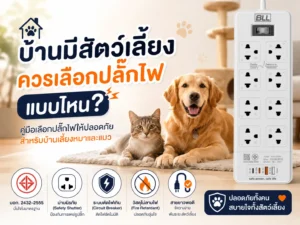 ปลั๊กไฟบ้านมีสัตว์เลี้ยง