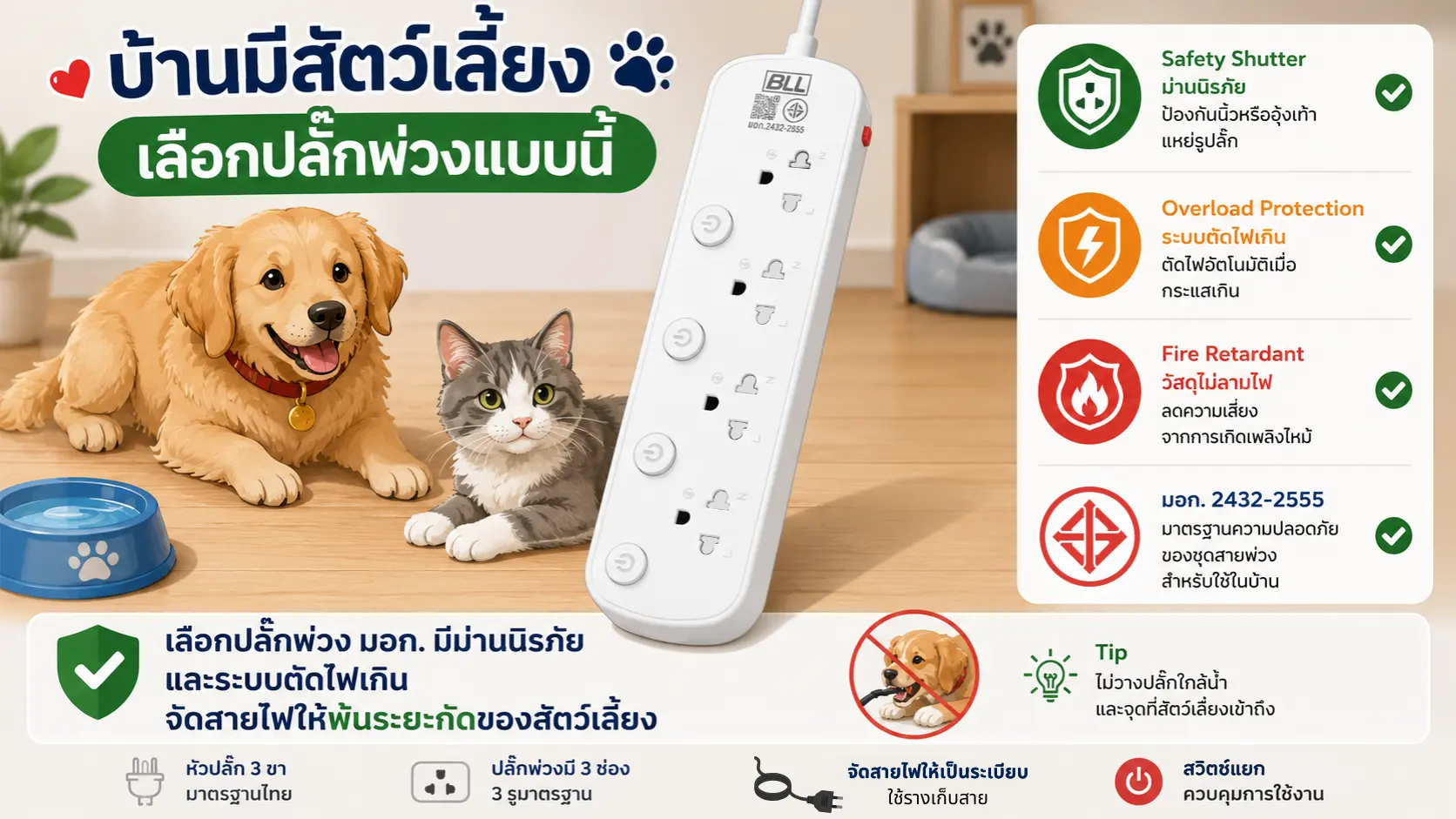 หลักการการเลือกปลั๊ก
