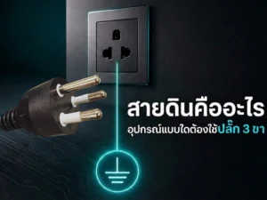 สายดินคืออะไร