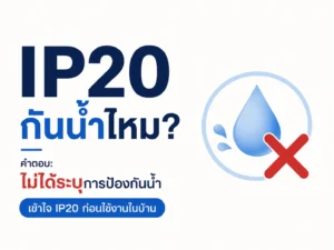 IP20 กันน้ำไหม? เข้าใจมาตรฐาน IP20 ก่อนเลือกปลั๊กไฟใช้ในบ้าน