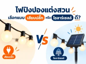 ไฟปิงปองแต่งสวน เลือกแบบเสียบปลั๊กหรือโซลาร์เซลล์ดี?