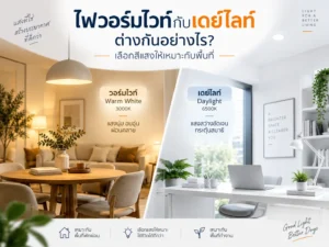 ไฟวอร์มไวท์กับเดย์ไลท์ต่างกันอย่างไร? เลือกสีแสงให้เหมาะกับพื้นที่