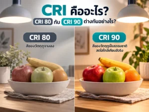 CRI คืออะไร? CRI 80 กับ CRI 90 ต่างกันอย่างไร